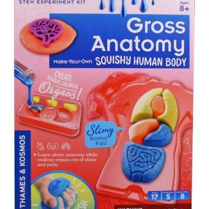 Gross Anatomy Make Your Own Squishy Body Kit Unboxing Review