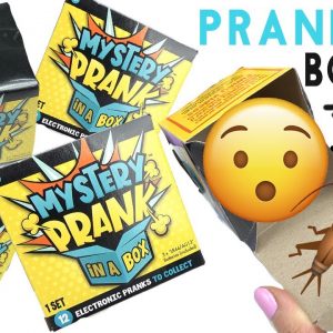 Mystery Prank in a Box Opening! Crickets, Alarm, Glass, Fart, Scream (Wowwee)