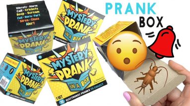 Mystery Prank in a Box Opening! Crickets, Alarm, Glass, Fart, Scream (Wowwee)