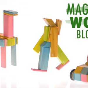 Magnetic Wood Blocks by Tegu