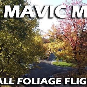 Mavic Mini Fall Foliage Flight