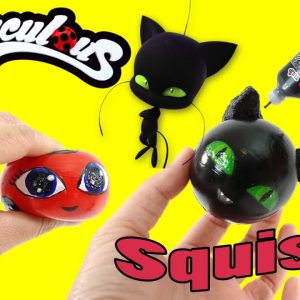 DIY Tikki Plagg Kwami Squishy - Custom Miraculous Ladybug