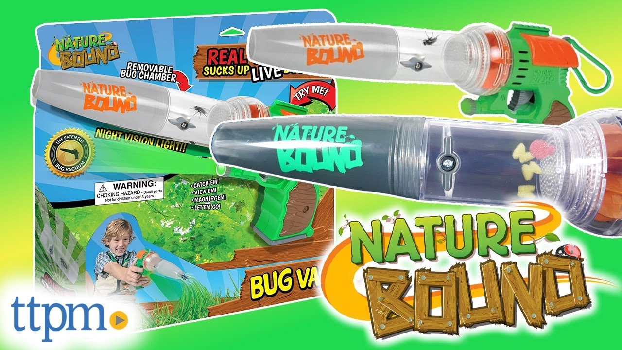 Easy Way to Explore Bugs In Your Backyard!