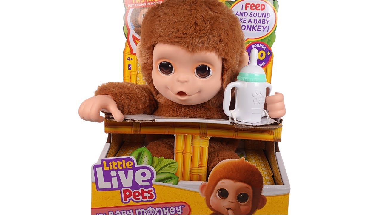 Little Live Pets My Baby Monkey Mango Unboxing Review