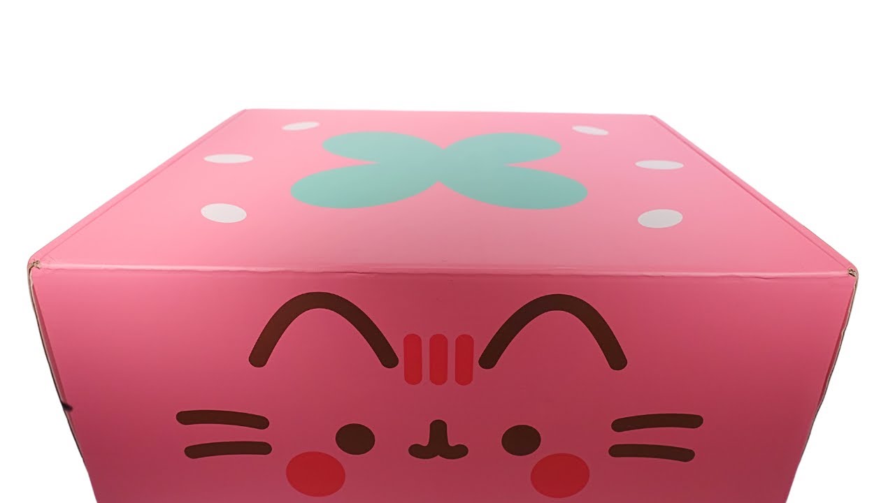 Pusheen Box Summer 2024 Freshly Picked Pusheen Subscription Box Unboxing Review