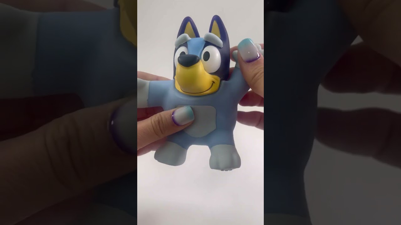 Super Stretchy Bluey Fidget Toy